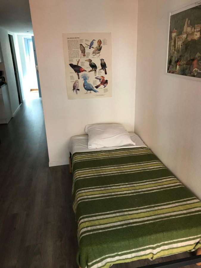 Espace Grenouillit Le Puy En Velay Екстер'єр фото